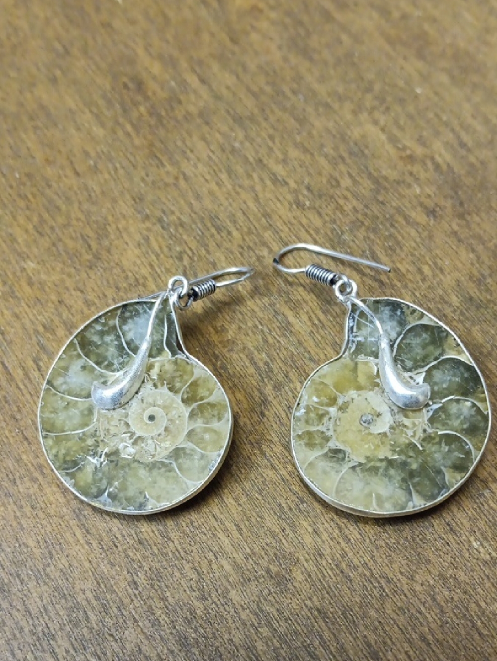 Green Ammonite Fossil Drop Earrings